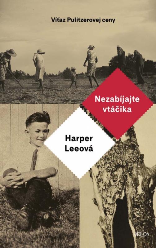 Kniha: Nezabíjajte vtáčika - Lee Harper