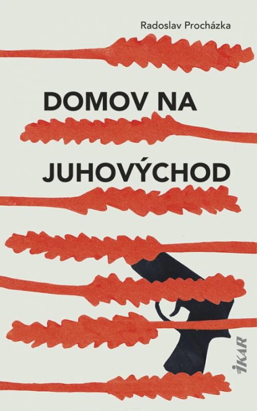 Kniha: Domov na juhovýchod - Procházka Radoslav