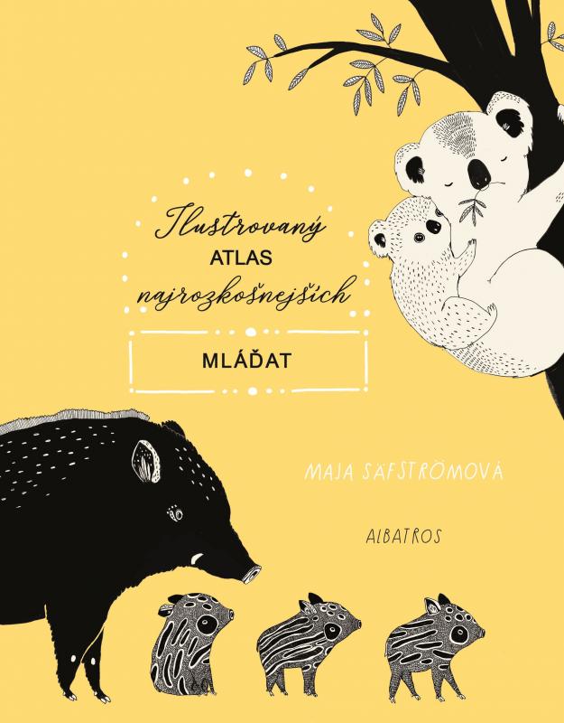 Kniha: Ilustrovaný atlas najrozkošnejších mláďat - Maja Säfströmová