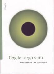 Cogito, ergo sun