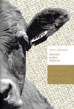 Kniha: Šternův pokus milovat - David Zábranský