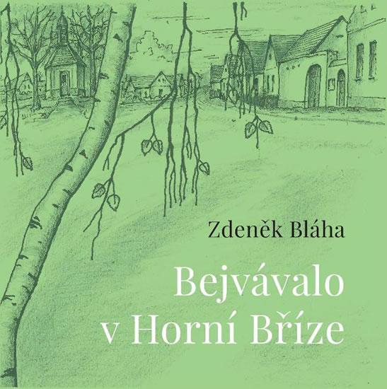Kniha: Bejvávalo v Horní Bříze - Bláha Zdeněk