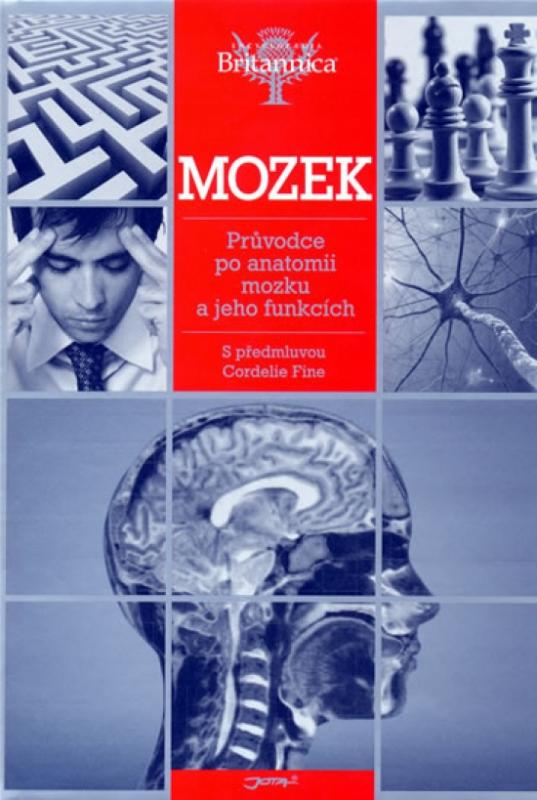 Kniha: Mozek - Průvodce po anatomii mozku a jehautor neuvedený