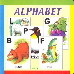 Kniha: Alphabet anglické leporeloautor neuvedený