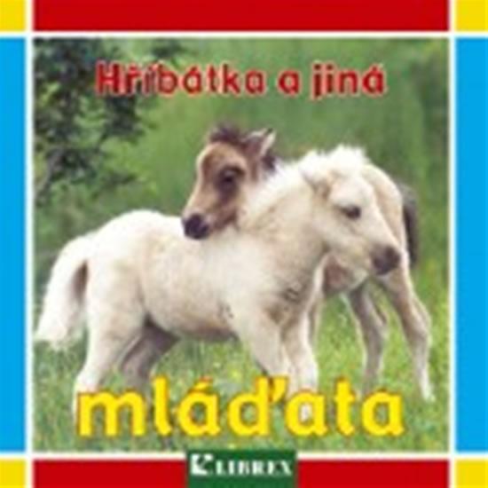 Kniha: Hříbátka a jiná mláďata - leporeloautor neuvedený