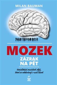 Kniha: Mozek zázrak na pět - Neviditelné souvis - Bauman, Milan