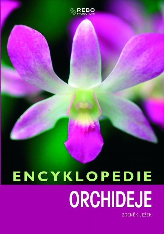 Kniha: Orchideje- encyklopedie - Ježek Zdeněk