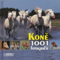 Koně - 1001 fotografií