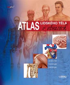 Atlas lidského těla v obrazech