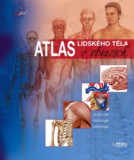 Kniha: Atlas lidského těla v obrazechkolektív autorov