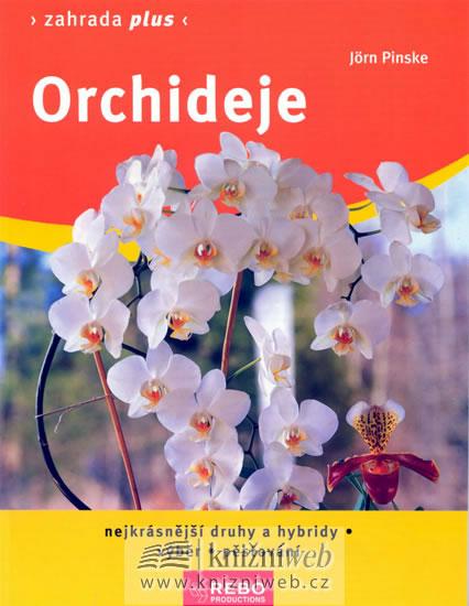 Kniha: Orchideje - Zahrada plus - Pinske Jörn