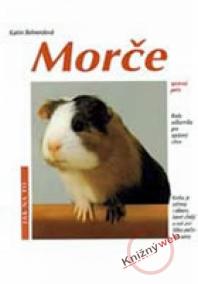 Morče - Jak na to