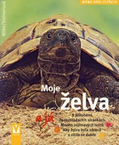 Moje želva a já