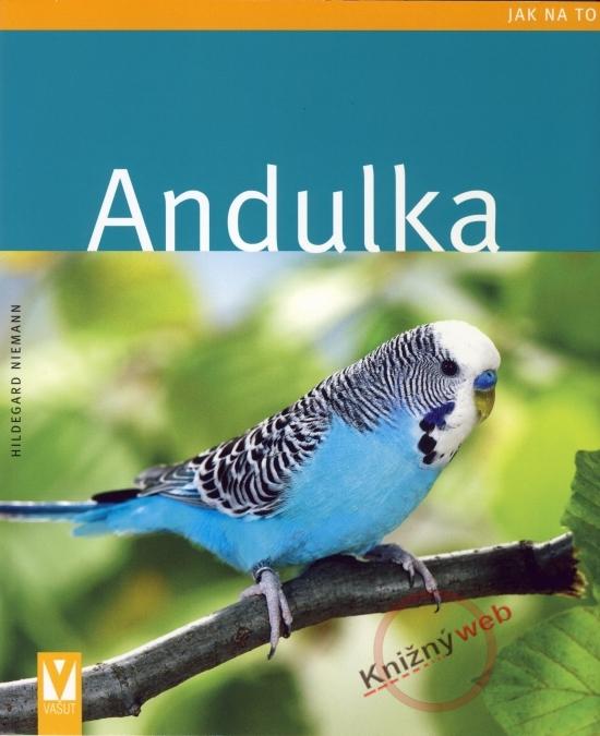 Kniha: Andulka - jak na to - Niemann Hildegard