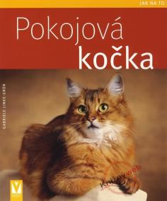 Pokojová kočka  - Jak na to