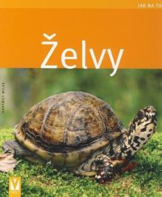 Želvy - Jak na to