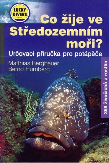 Kniha: Co žije ve Středozemním moři? - Bergbauer Matthias