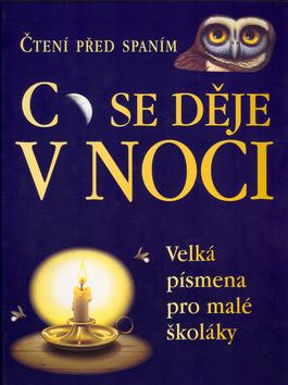 Kniha: Co se děje v noci? - Tangholm Sally