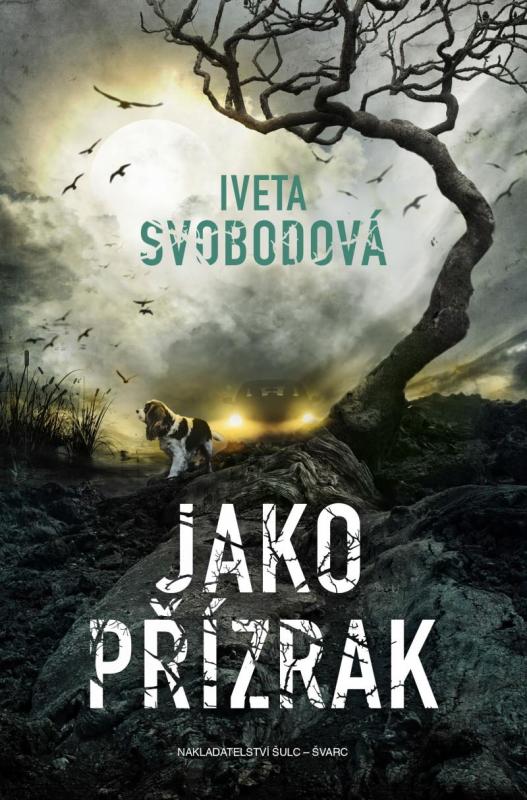 Kniha: Jako přízrak - Svobodová Iveta