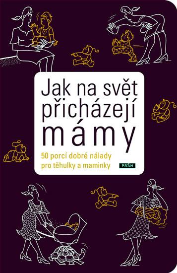 Kniha: Jak na svět přicházejí mámy - 50 porcí dobré nálady pro toulky a maminky - Nolteová Dorothee