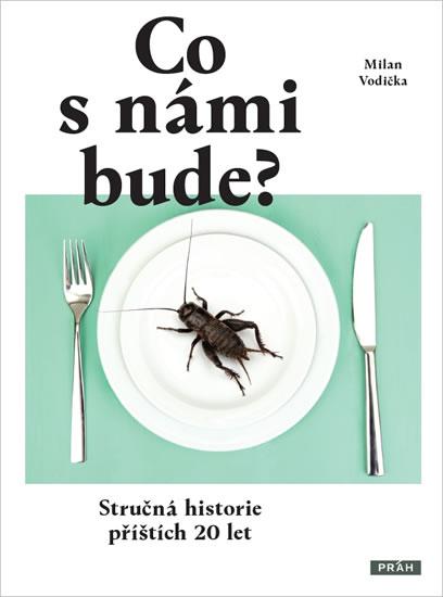 Kniha: Co s námi bude? - Stručná historie příštích 20 let - Vodička Milan