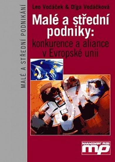 Kniha: Malé a střední podniky: konkurence a aliance v Evropské unii - Leo Vodáček