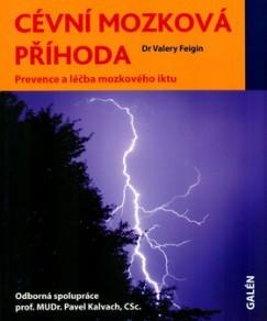 Kniha: Cévní mozková příhoda - Valery Feigin