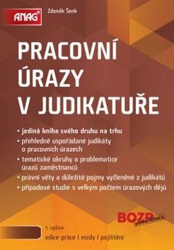 Kniha: Pracovní úrazy v judikatuře - Zdeněk Šenk