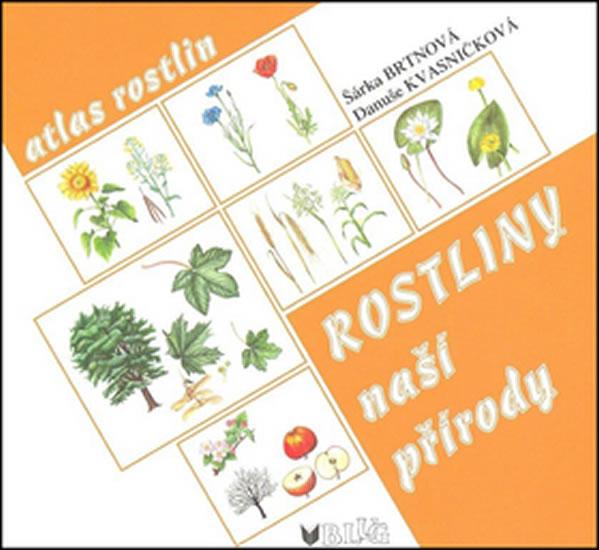 Kniha: Rostliny naší přírody - Kvasničková Danuše