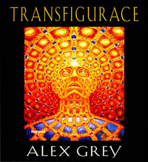 Kniha: Transfigurace - Grey Alex