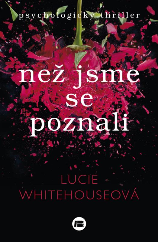 Kniha: Než jsme se poznali - Lucie Whitehouseová