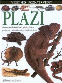 Plazi