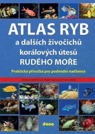 Kniha: Atlas ryb a dalších živočichů korálových útesů Rudého moře - Alena Doležalová