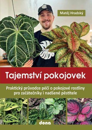 Kniha: Tajemství pokojovek - Matěj Hradský
