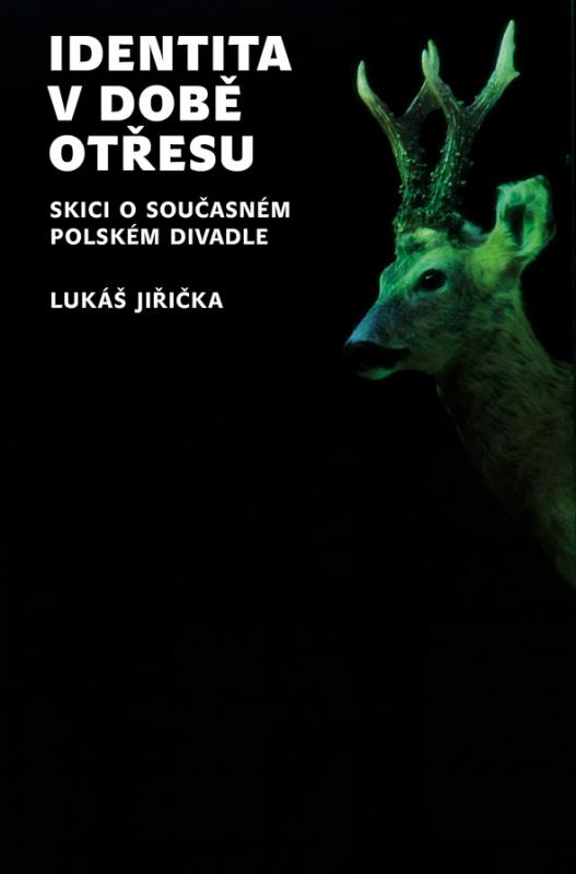 Kniha: Identita v době otřesu - Lukáš Jiřička