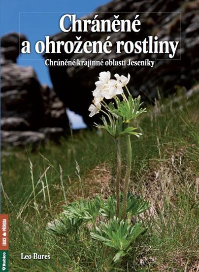 Kniha: Chráněné a ohrožené rostliny - Chráněná krajinná oblast Jeseníky - Bureš Leo