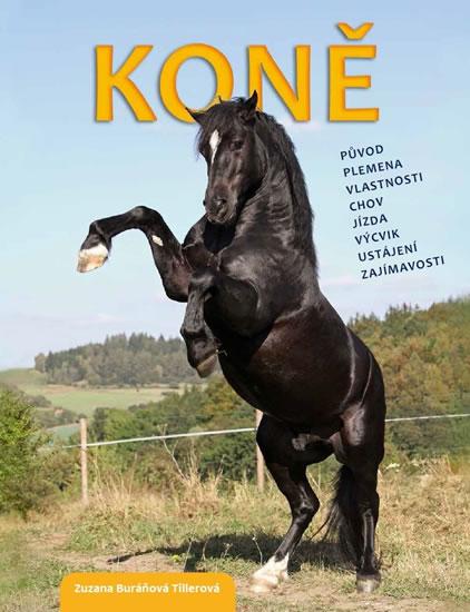 Kniha: Koně - původ, plemena, vlastnosti, chov, jízda, výcvik, ustájení, zajímavosti - Tillerová Buráňová Zuzana