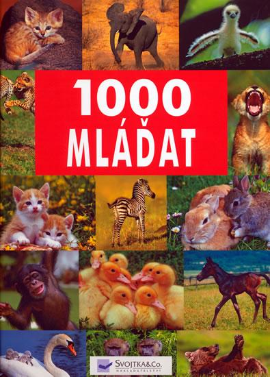 Kniha: 1000 mláďatkolektív autorov