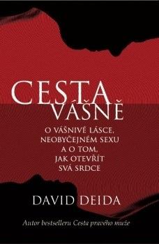 Kniha: Cesta vášně - David Deida