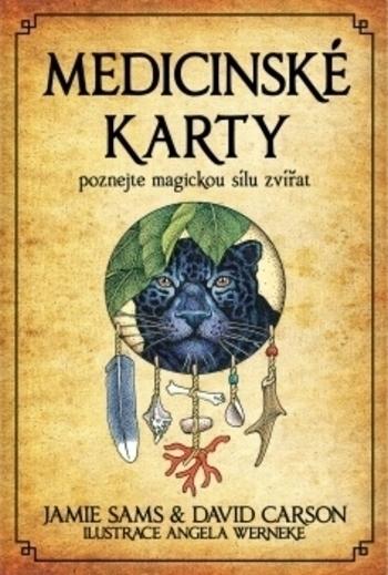 Kniha: Medicinské karty - Jamie Sams