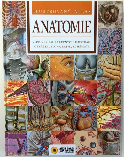 Kniha: Anatomie - Ilustrovaný atlasautor neuvedený