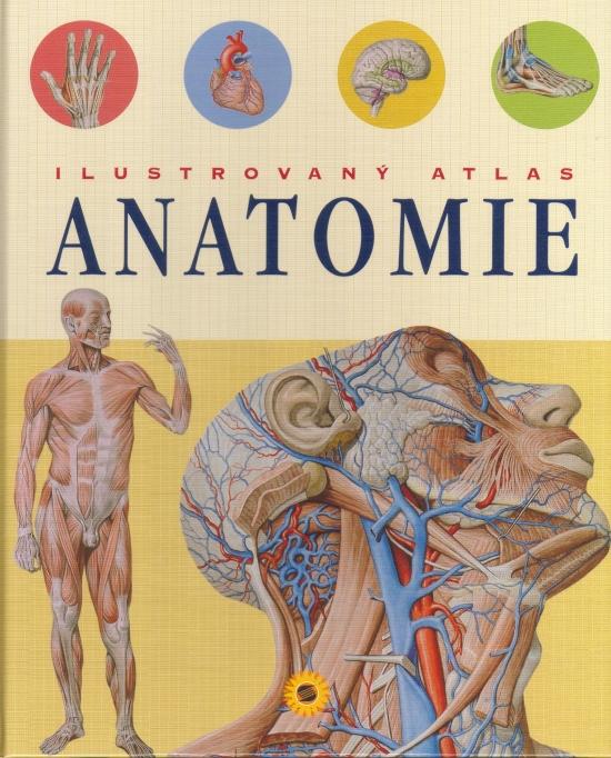 Kniha: Ilustrovaný atlas anatomiekolektív autorov