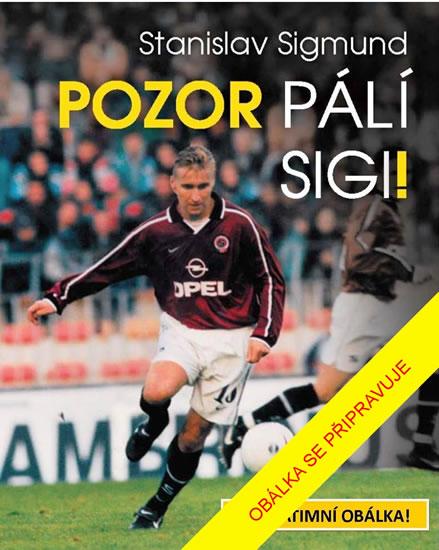 Kniha: Pozor pálí Sigi! - Sigmund Stanislav