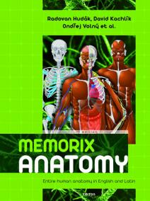 Memorix Anatomy - Entire human anatomy in English and Latin