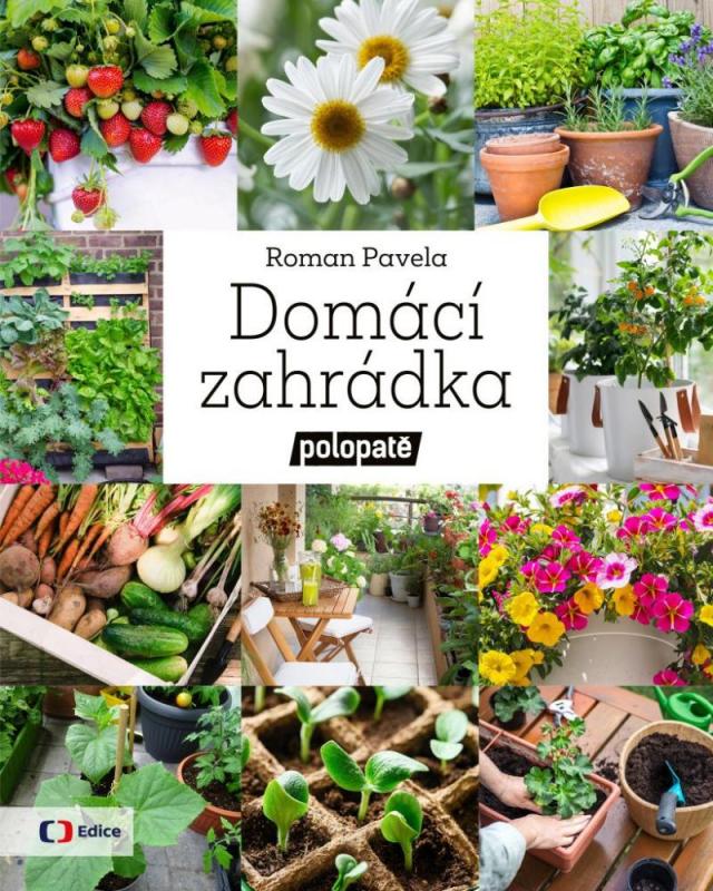 Kniha: Domácí zahrádka - Polopatě - Pavela Roman