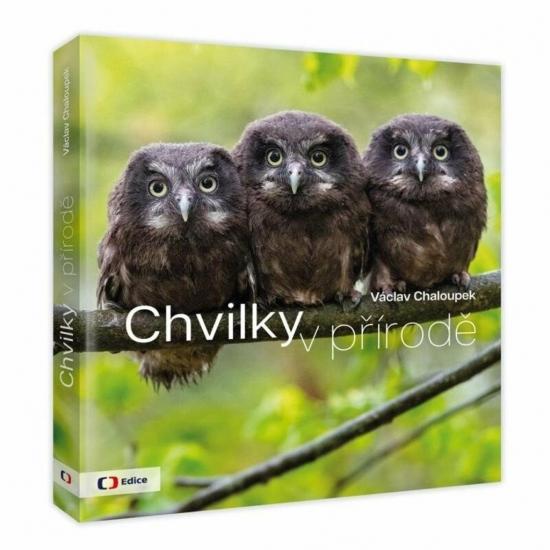 Kniha: Chvilky v přírodě - Chaloupek Václav