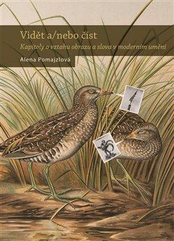 Kniha: Vidět a/nebo číst - Alena Pomajzlová
