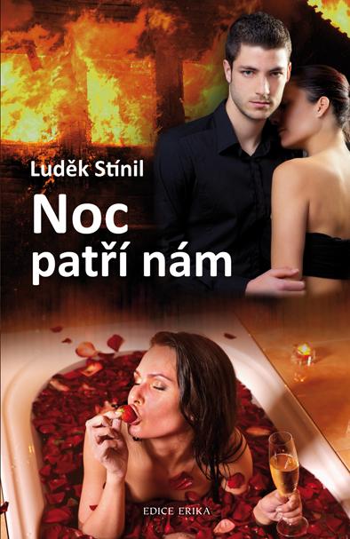 Kniha: Noc patří nám - Luděk Stínil