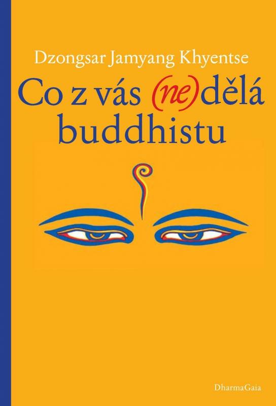 Kniha: Co z vás (ne)dělá buddhistu - Dzongsar Khyentse Rinpočhe