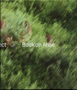 Kniha: Book on Ahae - Milan Knížák